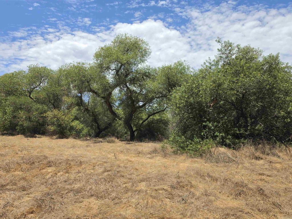 1.41 acres Durgin Street