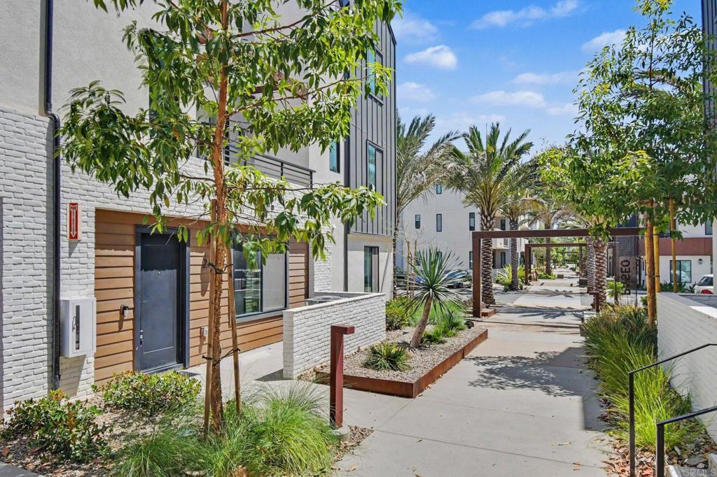 2416 Cascalote Loop