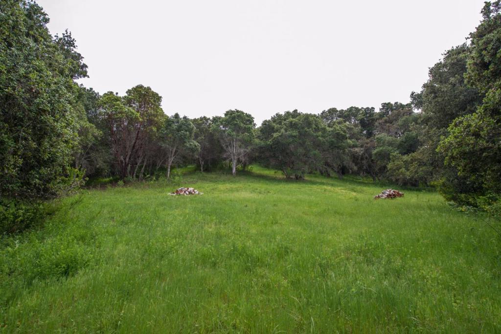 28 Potrero Trail
