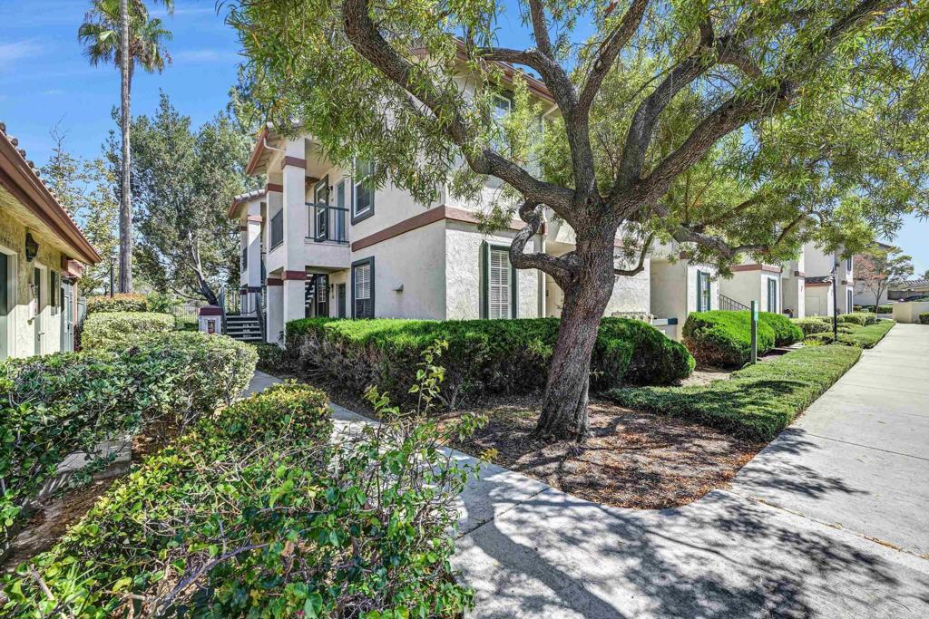 10915 Sabre Hill 364