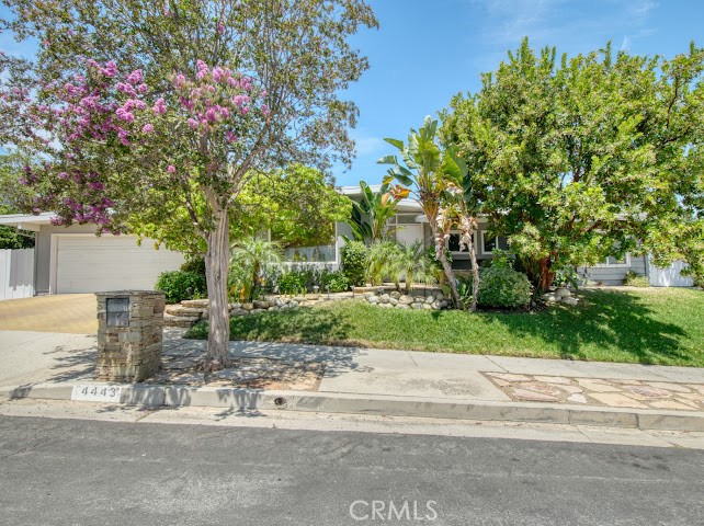4443 Callada
