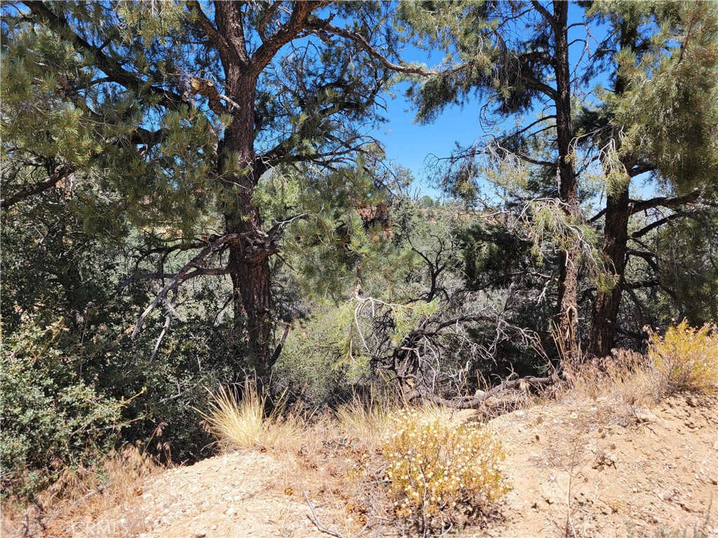 0 Old Oak Springs Valley Road