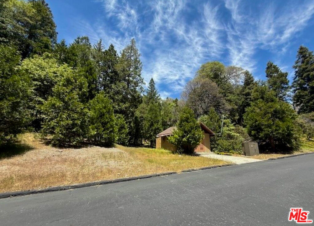 246 Cedar Ridge Drive