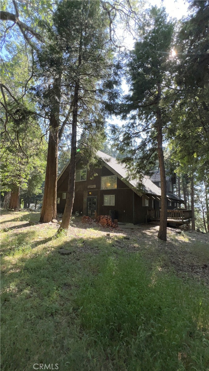 23245 Crest Forest