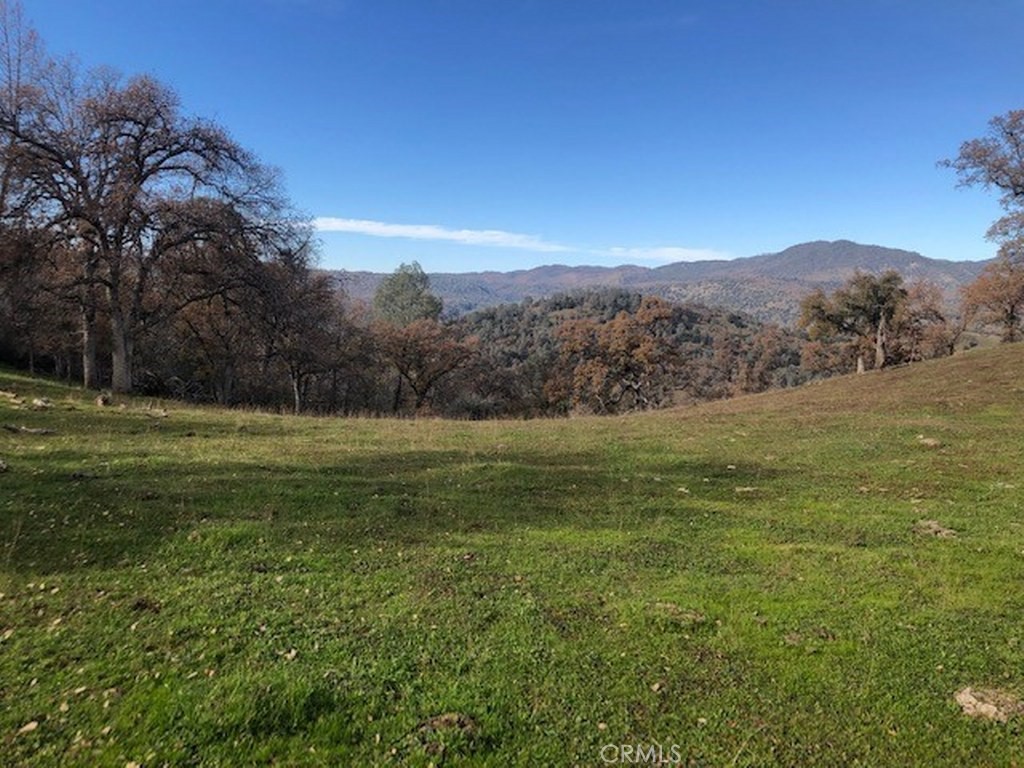 157 Acres Mountain View Peak Road
