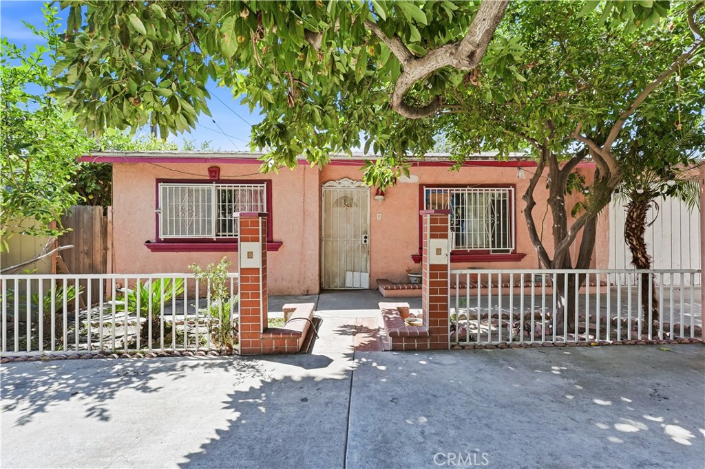 12375 Poinsettia