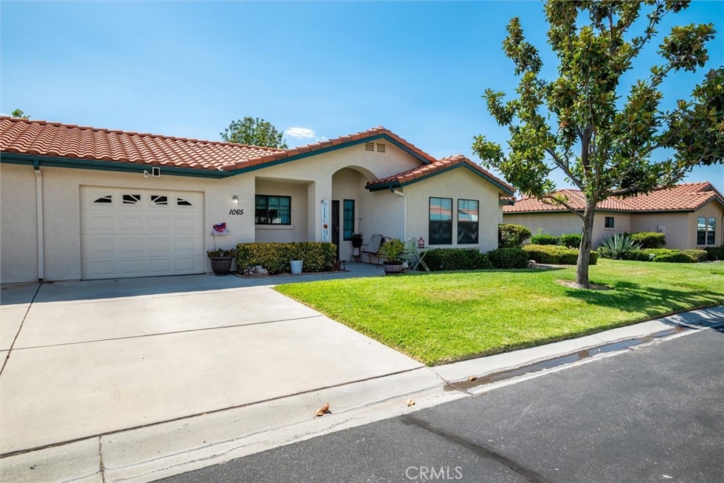 1065 Mountain View