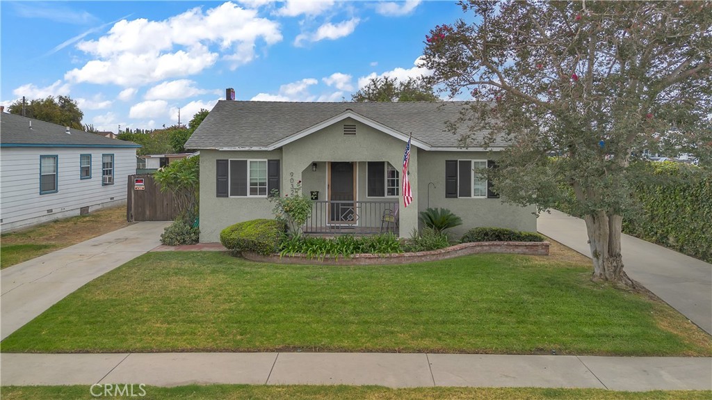 9032 Walnut