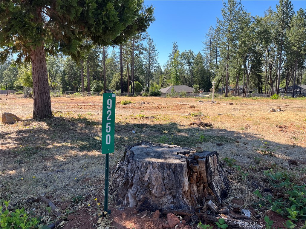 9250 Skyway Road