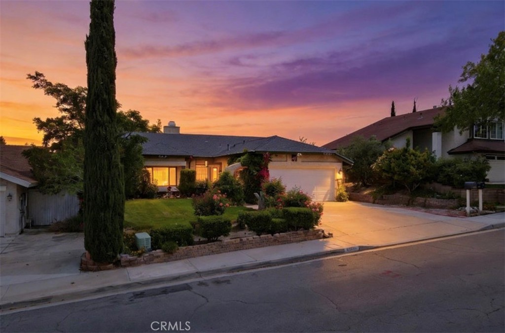 36790 Spanish Broom