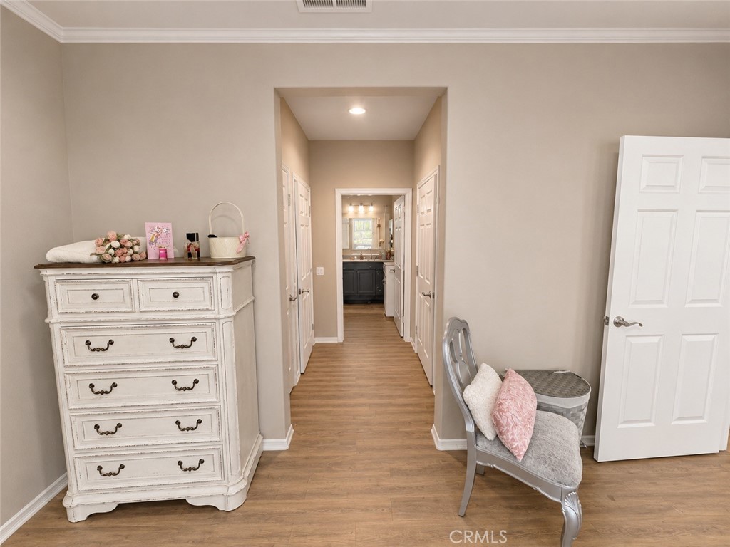 824 Coriander 502