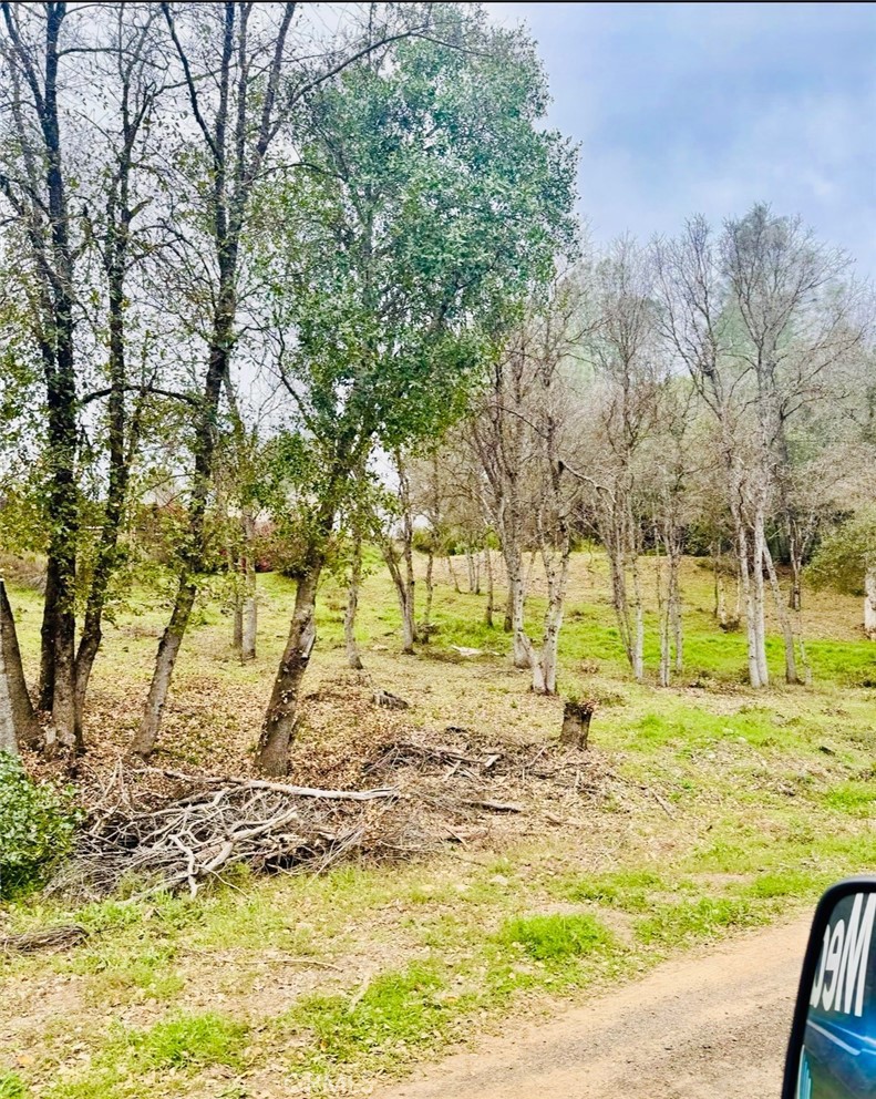 5976 Armijo