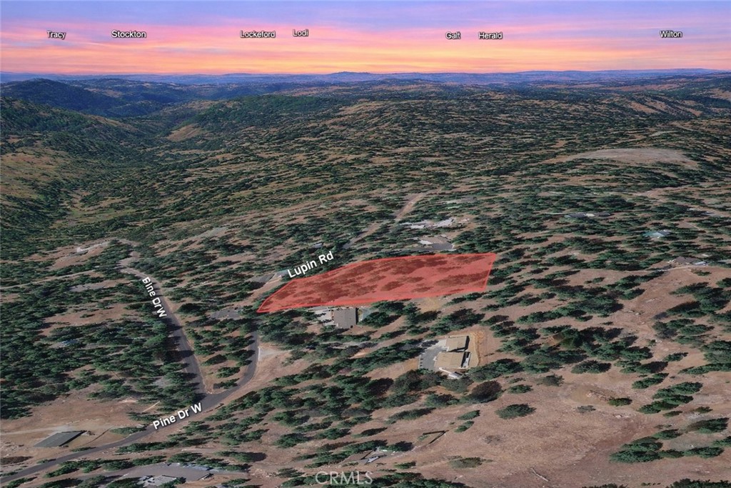 26041 Lupin Road