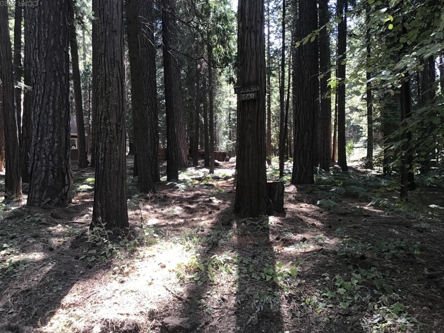 2730 Hangtree Trl, Arnold, CA 95223-0
