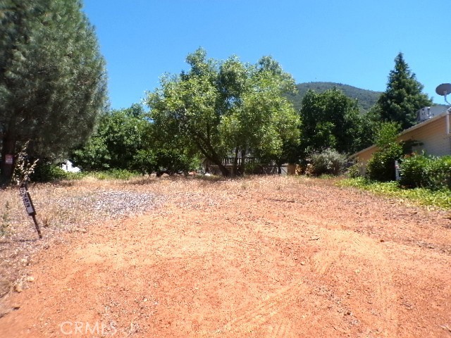 3252 Westwood Drive