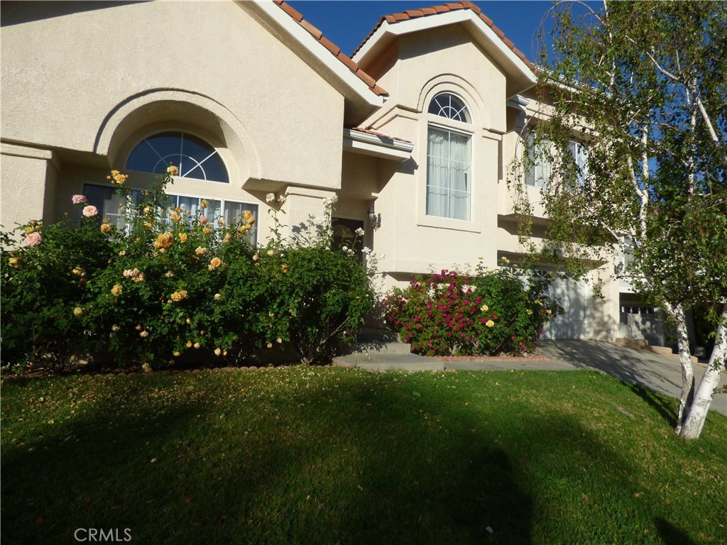 516 Monteleone