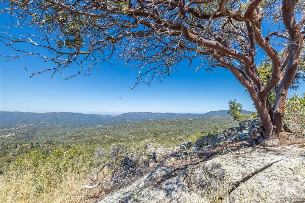 49 Acres Old Yosemite Road