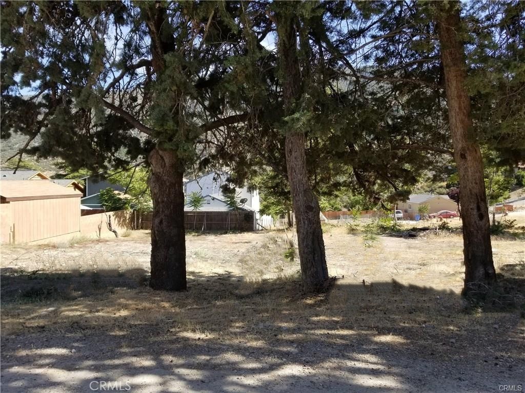 4232 Willow