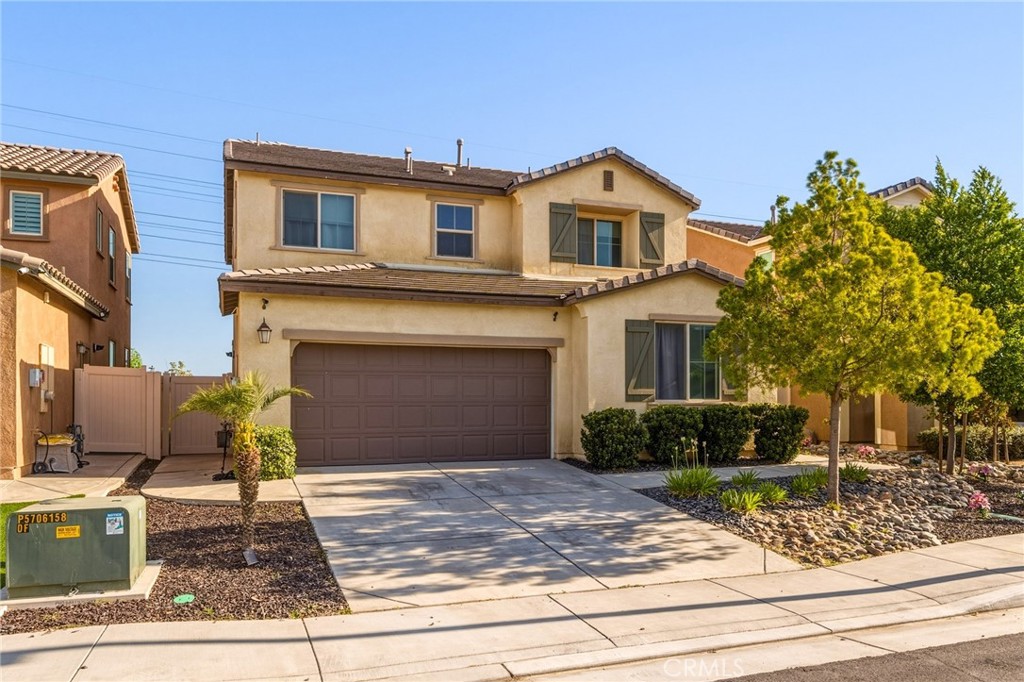 1455 Black Diamond