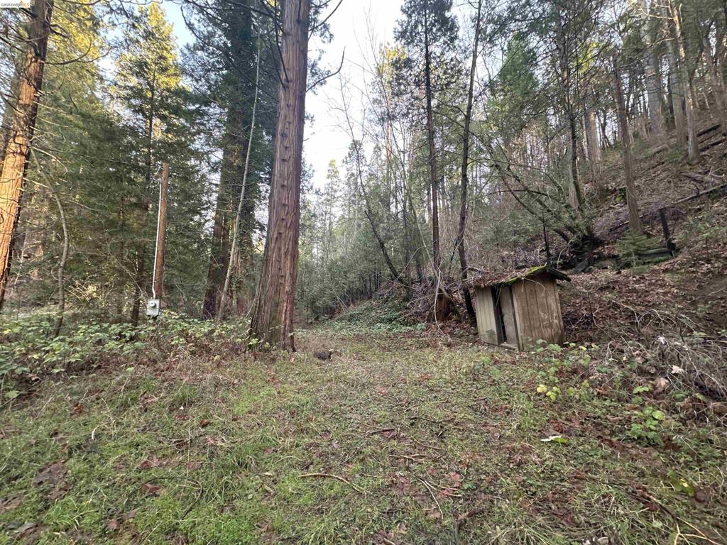 22895 S Fork Rd.