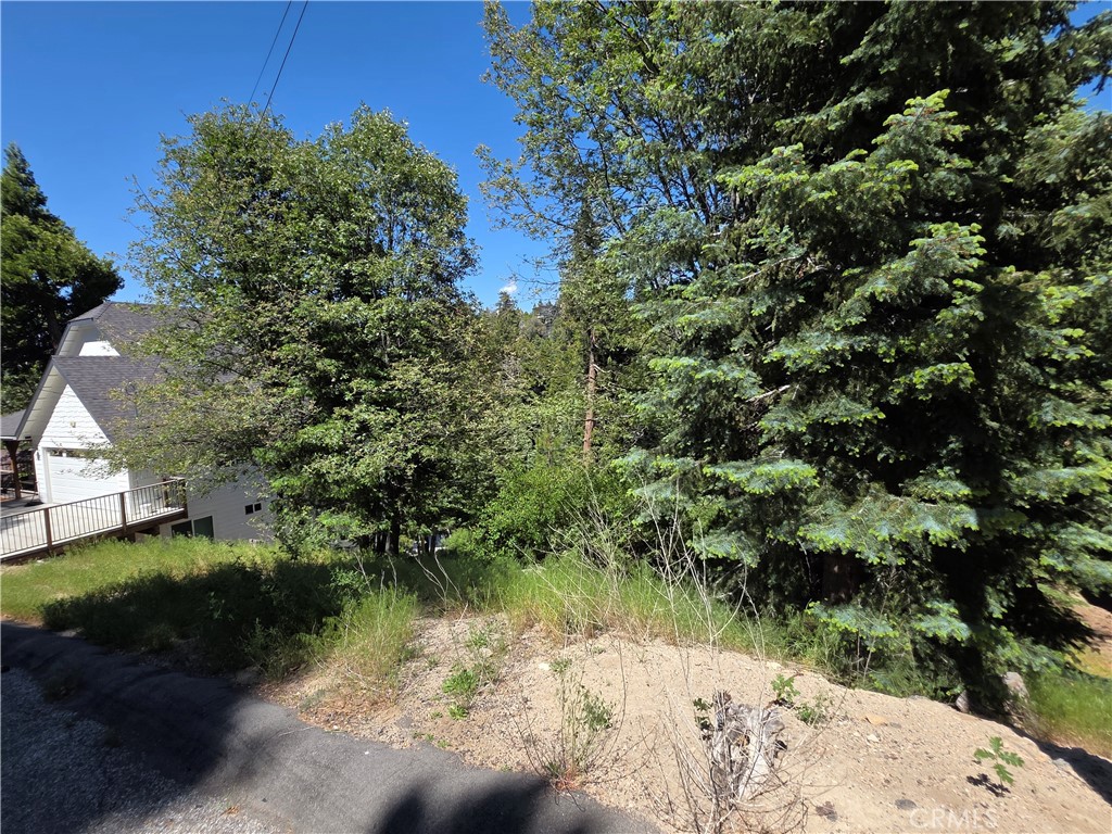 0 Shenandoah Drive