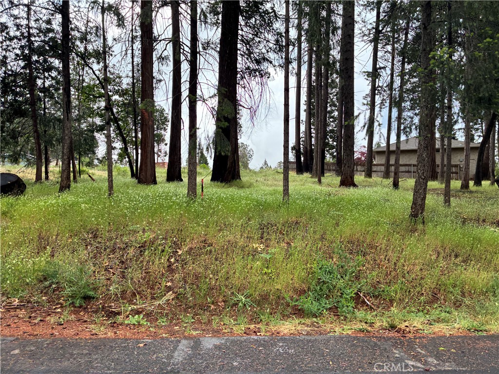0 Pineland Circle