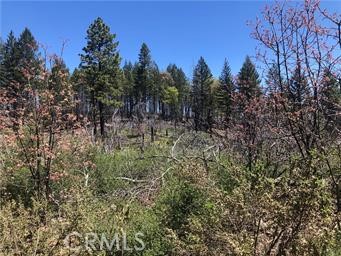 6847 High Valley