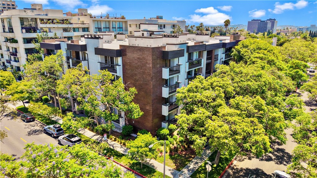 324 N Palm Drive 407