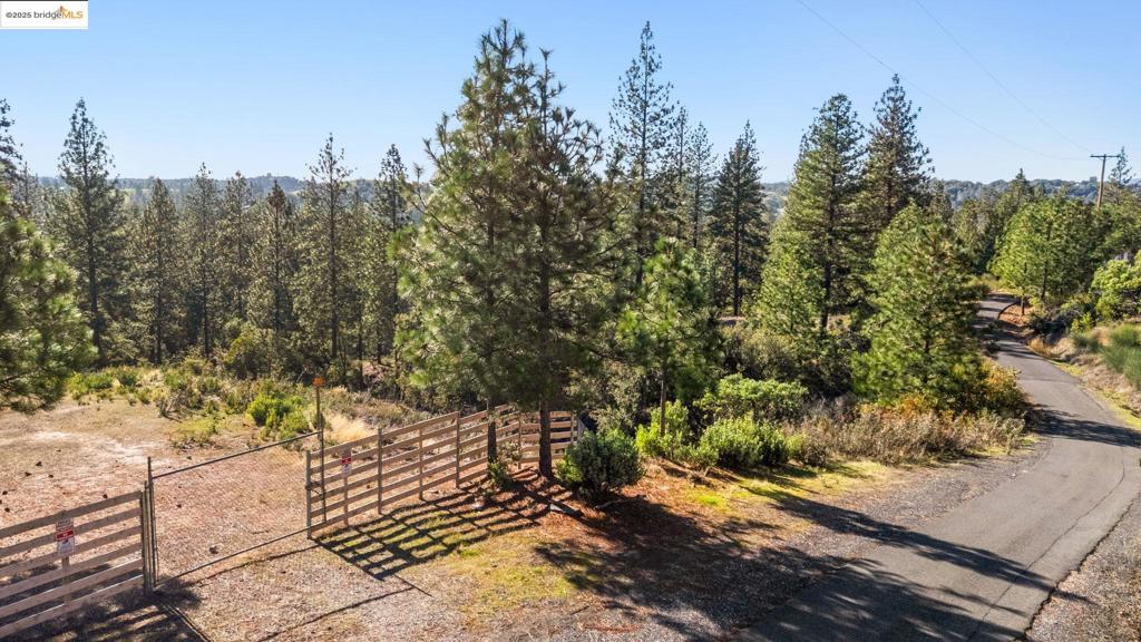 11210 Forest Park Rd