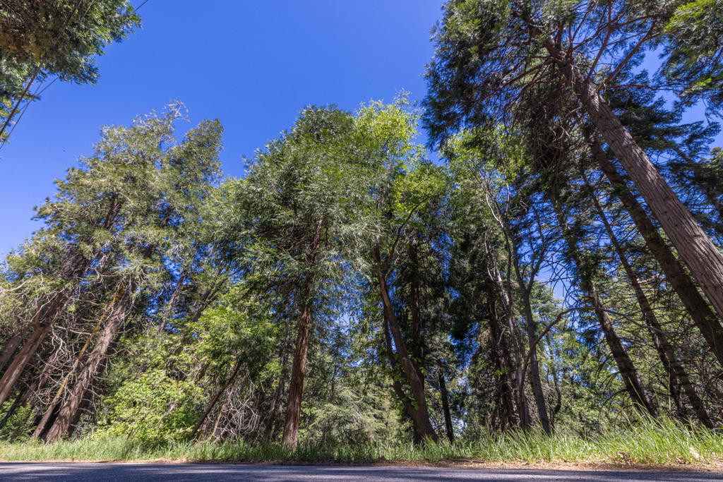 Lot 78 Cedar Pines Drive