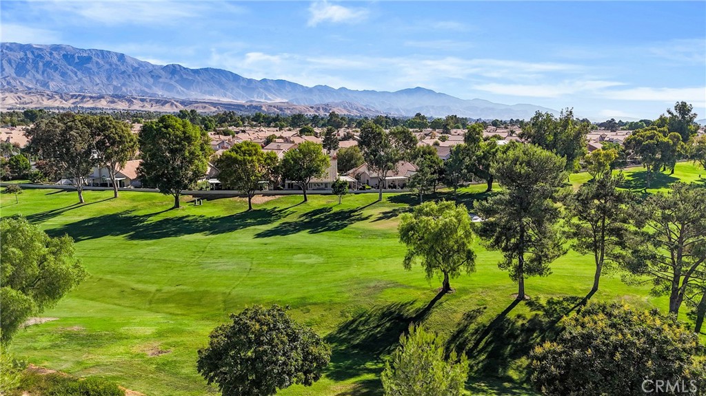 1560 Pine Valley