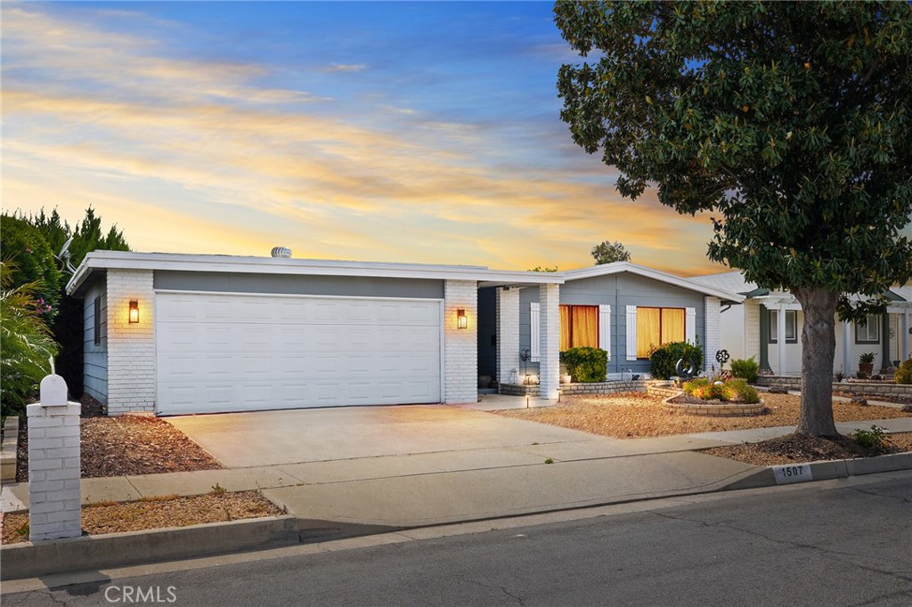 1507 Willow Leaf