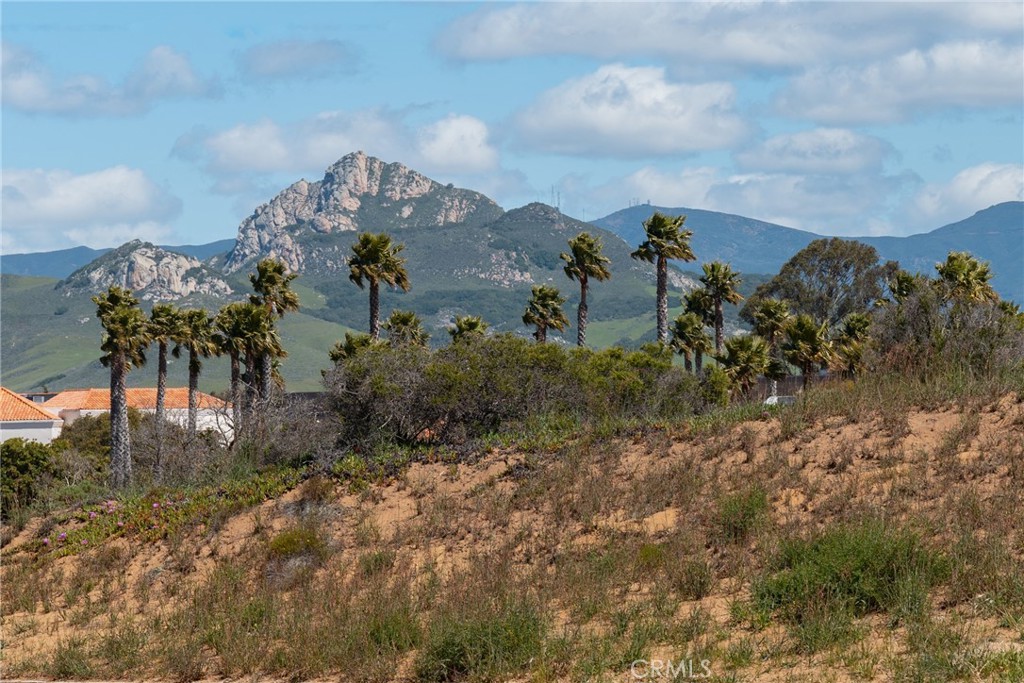 1110 Bay Oaks