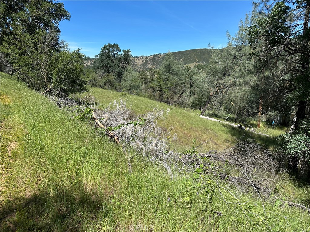 12939 Hill