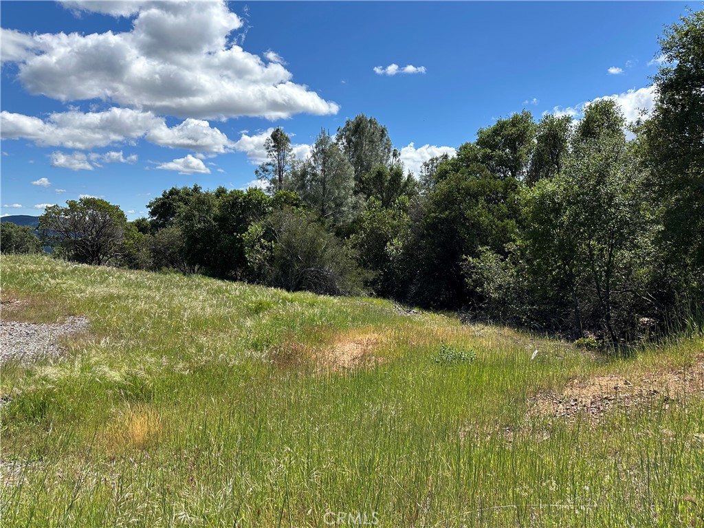 12361 Cerrito