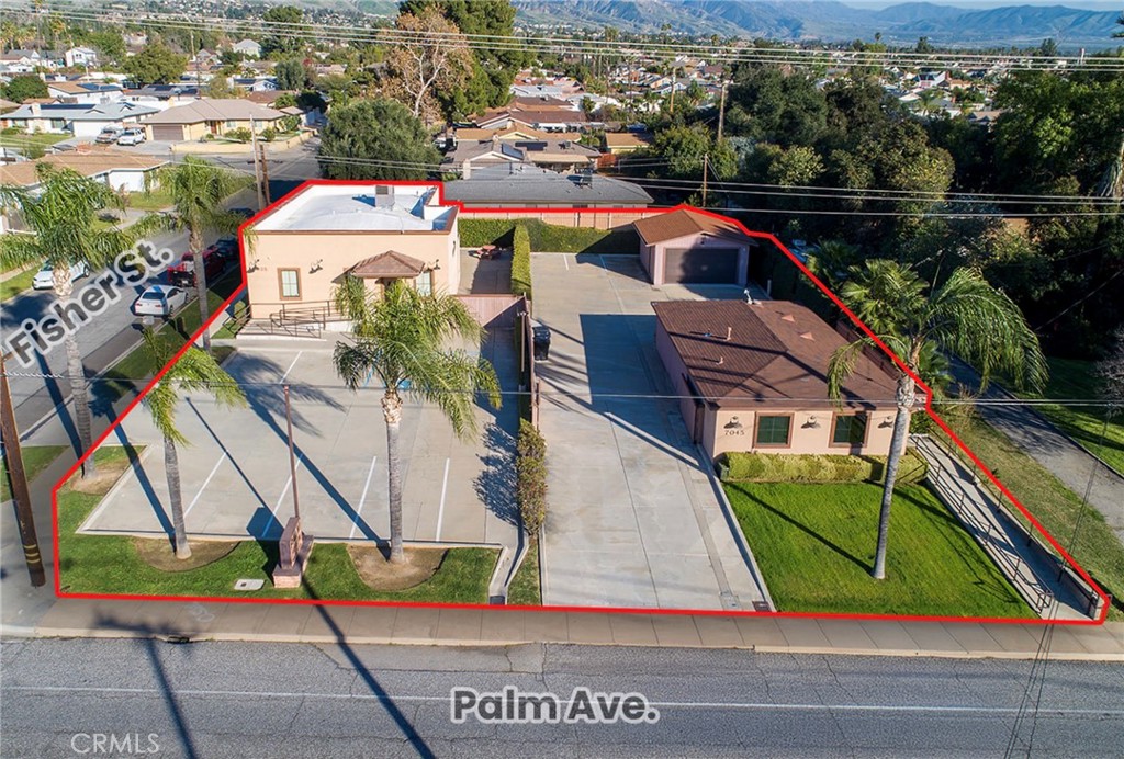 7035 7045 Palm