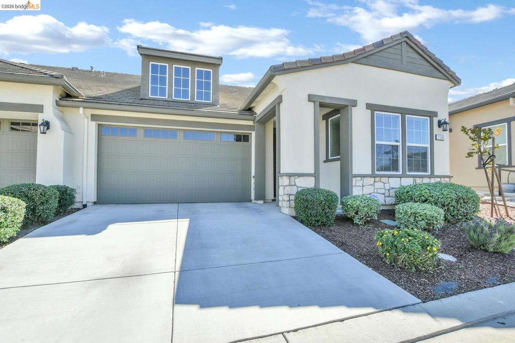 1546 Spumante LN