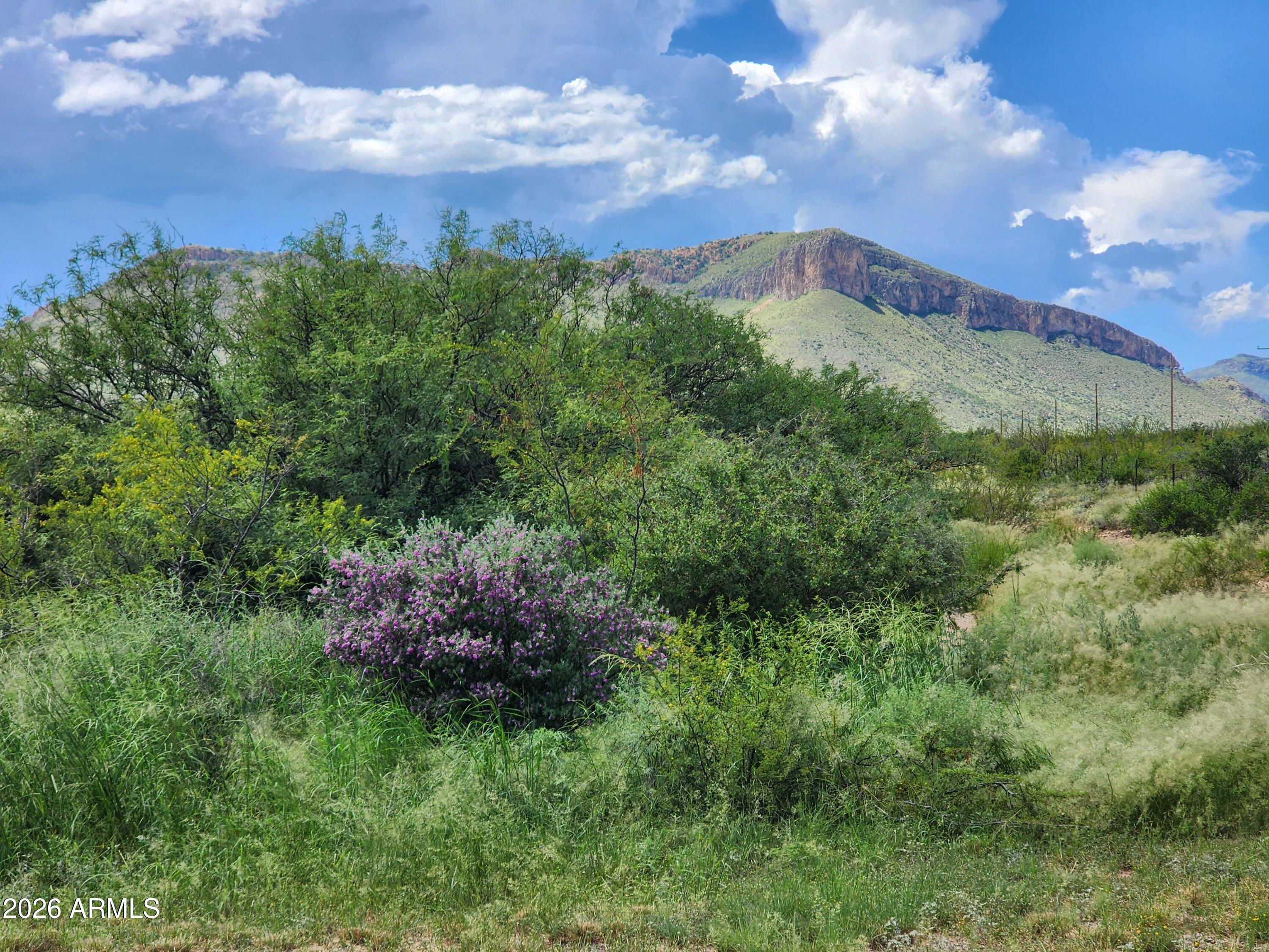 lot 5 E Highway 82 2, Huachuca City, AZ 85616