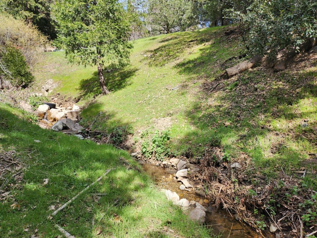 0 Running Springs Lane
