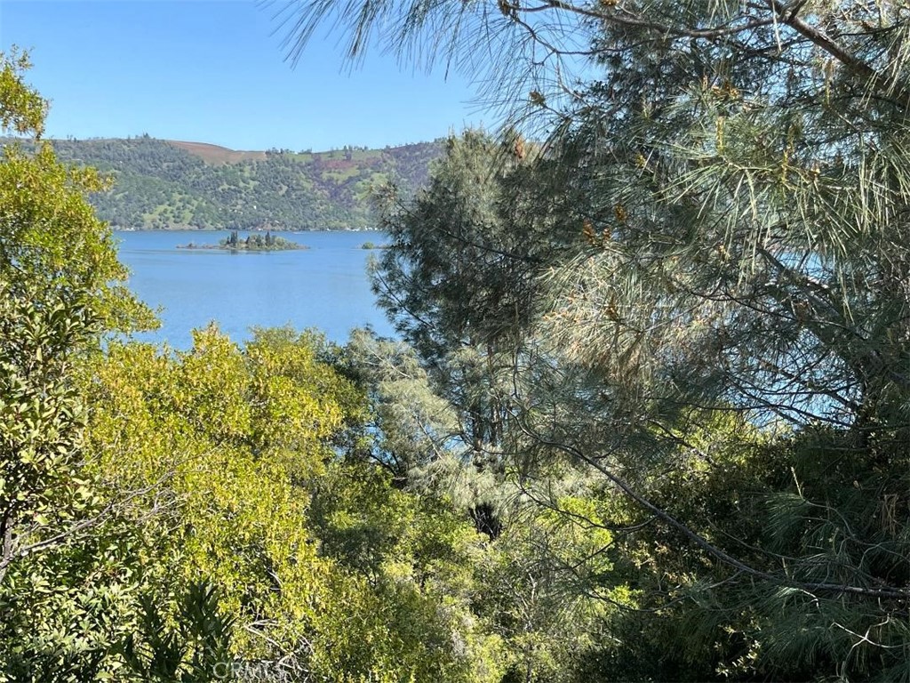 8452 Soda Bay Road
