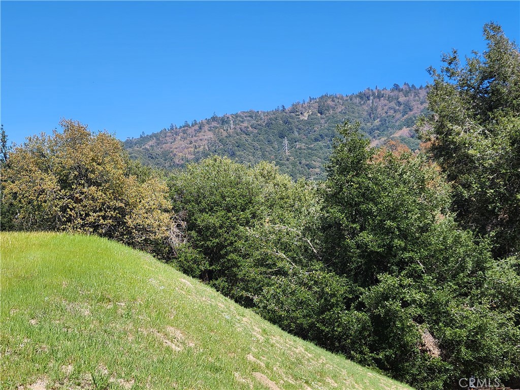 327 Davos Drive