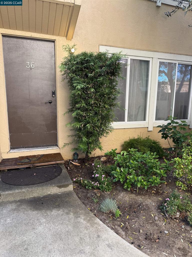 3055 Treat Blvd 36