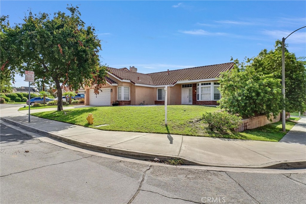 24461 Willow Run Road