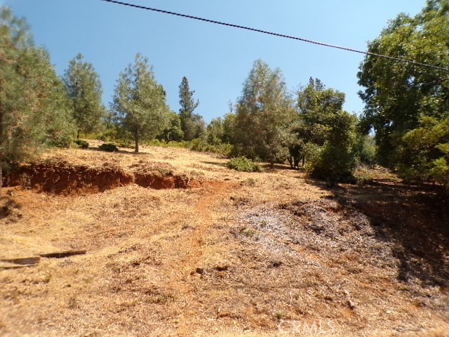 3122 Skyline Drive