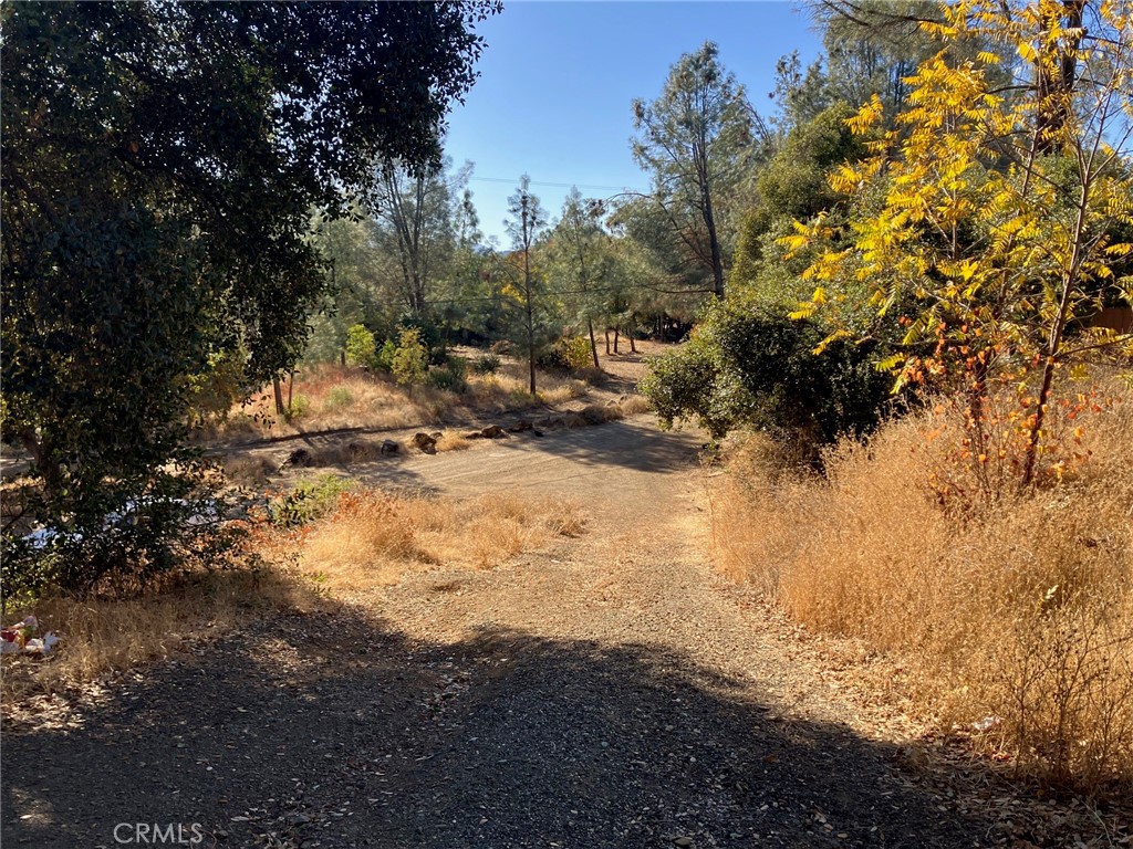 4788 Yarrington Court