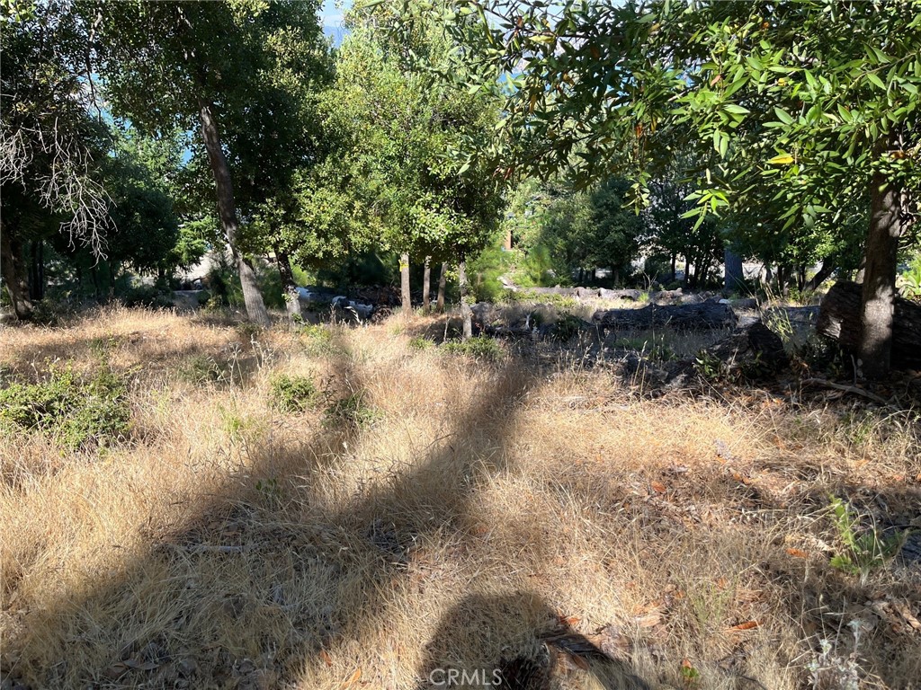 3607 Pine Terrace Drive