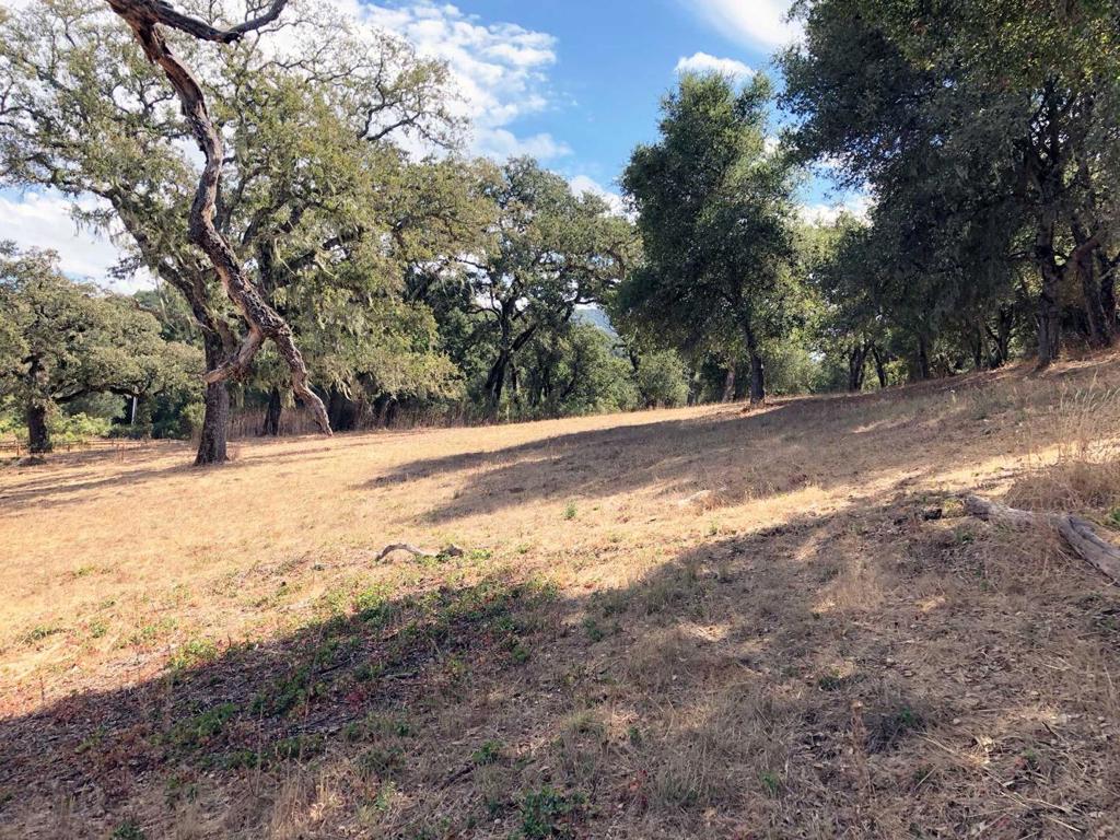 34221 Robinson Canyon Road