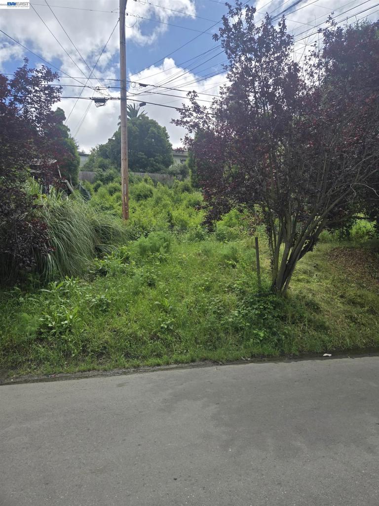 3210 Courtland
