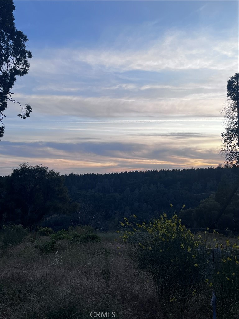 13903 Cluster Court