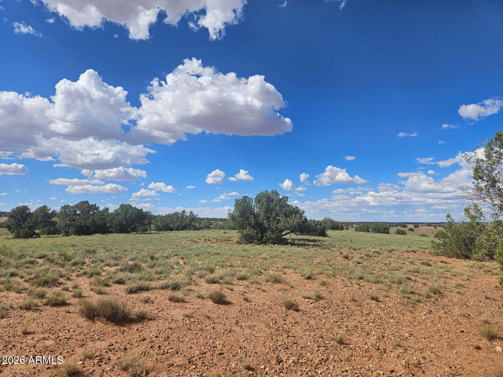 144 N COUNTY ROAD 9027 47, Concho, AZ 85924